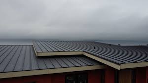 Steel Roofing in Goshen, KY